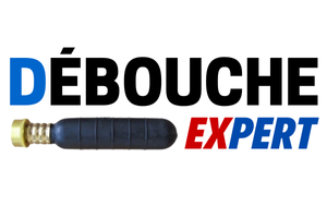 logo debouche expert prolatis